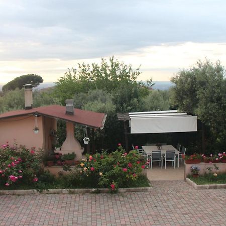B&B La Terrazza Di Frascati Eksteriør billede