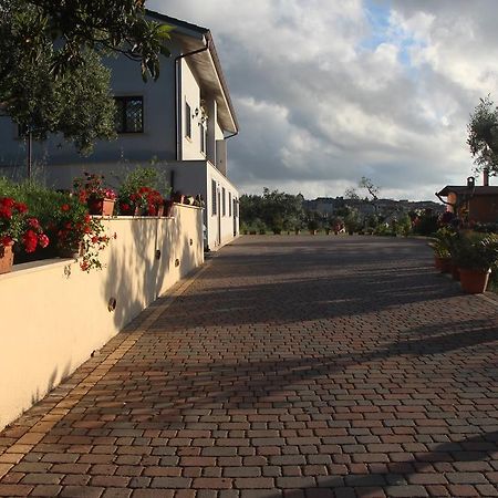 B&B La Terrazza Di Frascati Eksteriør billede