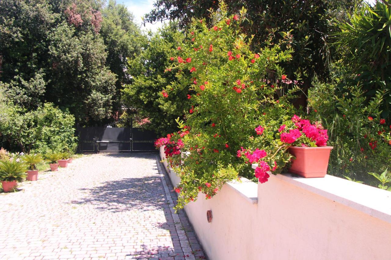 B&B La Terrazza Di Frascati Eksteriør billede