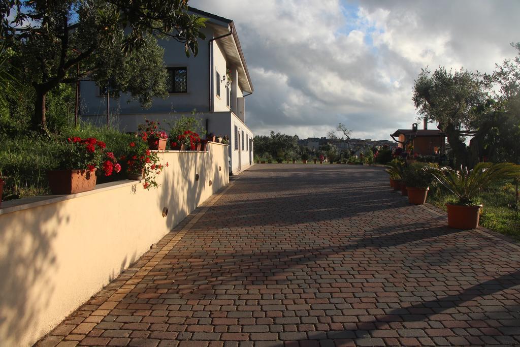 B&B La Terrazza Di Frascati Eksteriør billede