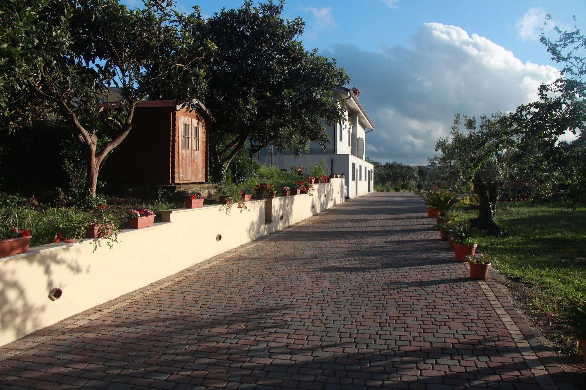 B&B La Terrazza Di Frascati Eksteriør billede