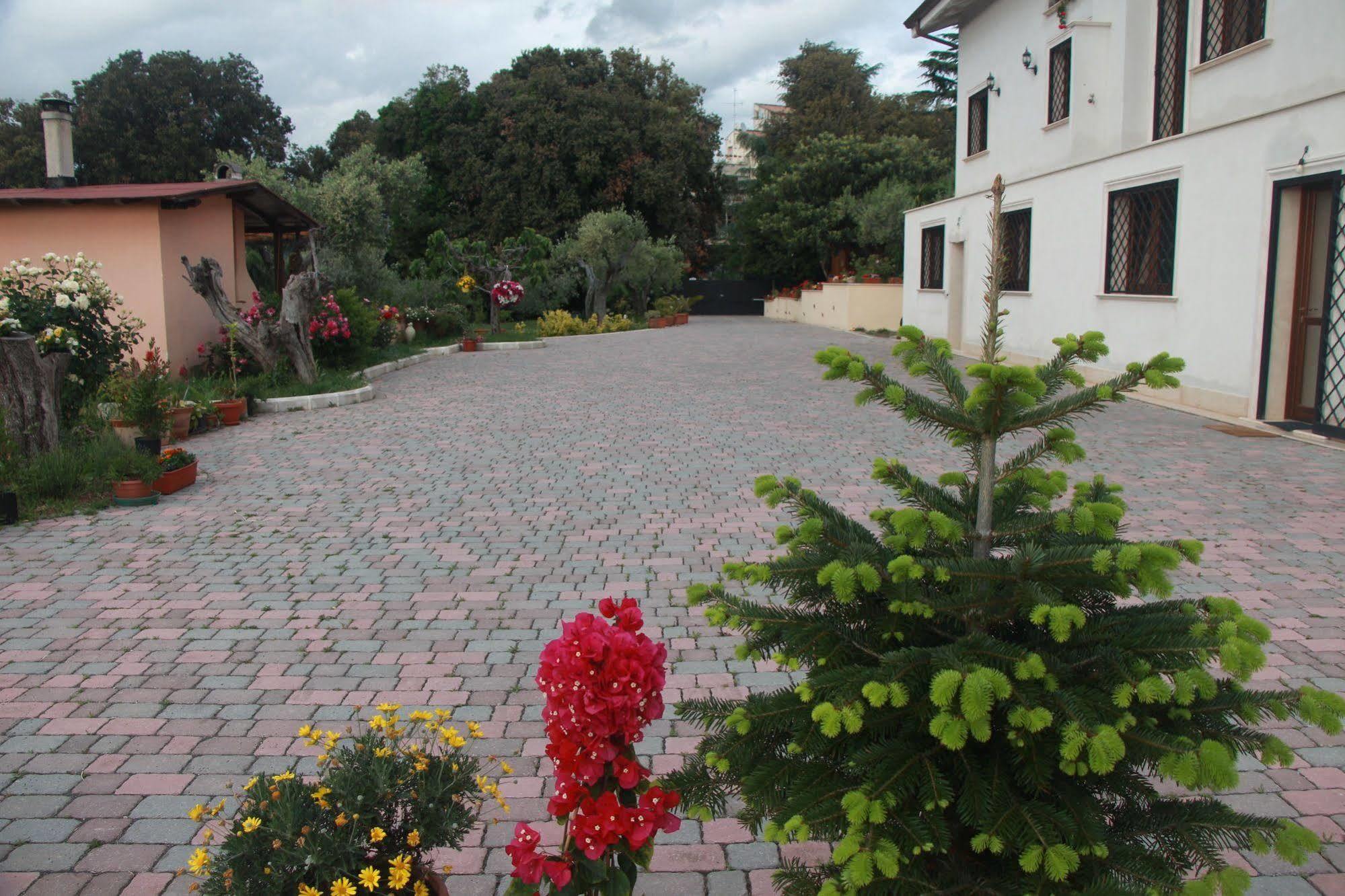 B&B La Terrazza Di Frascati Eksteriør billede
