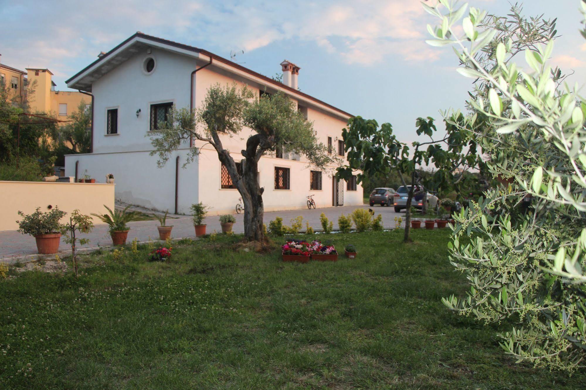 B&B La Terrazza Di Frascati Eksteriør billede