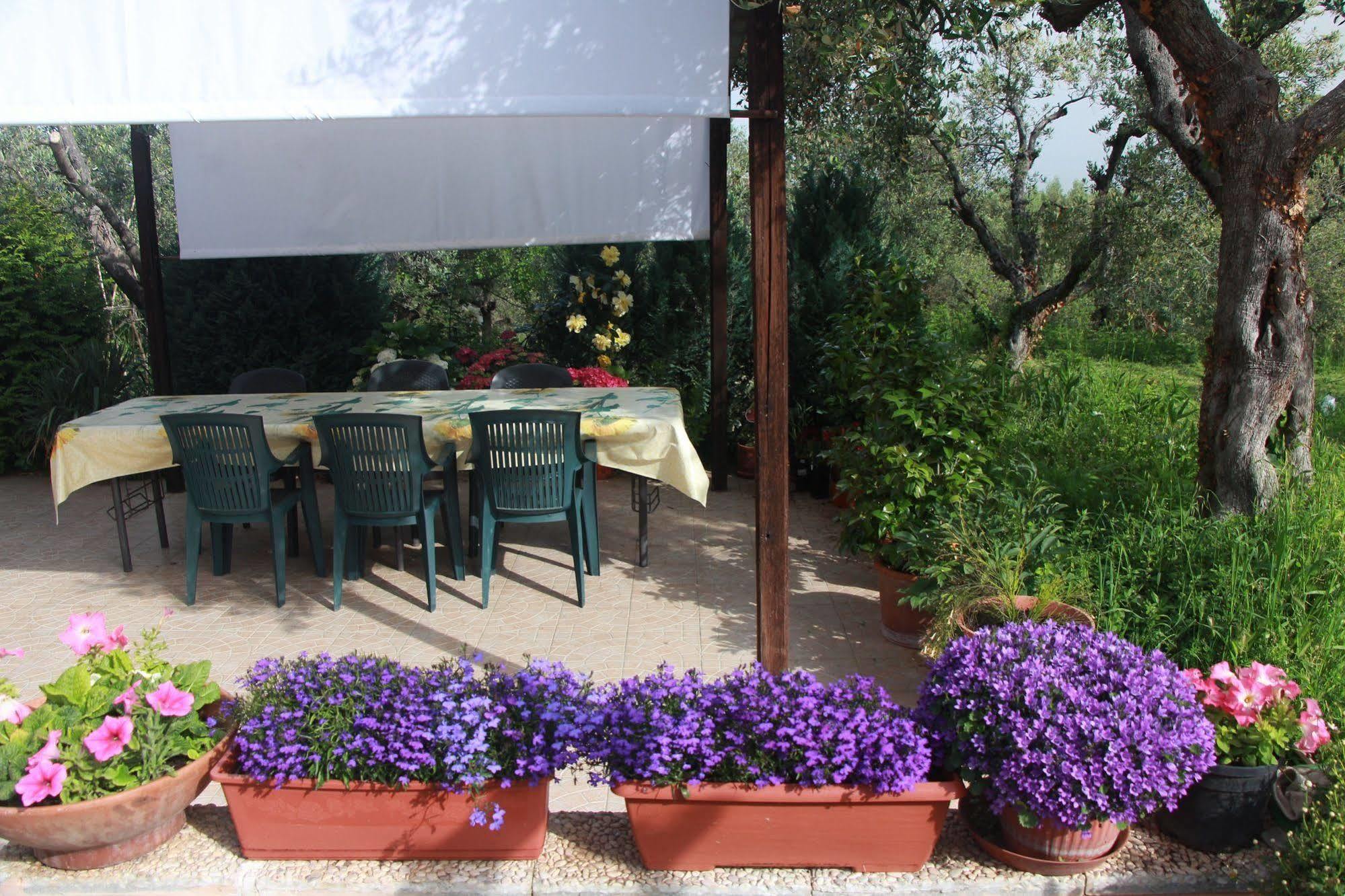 B&B La Terrazza Di Frascati Eksteriør billede
