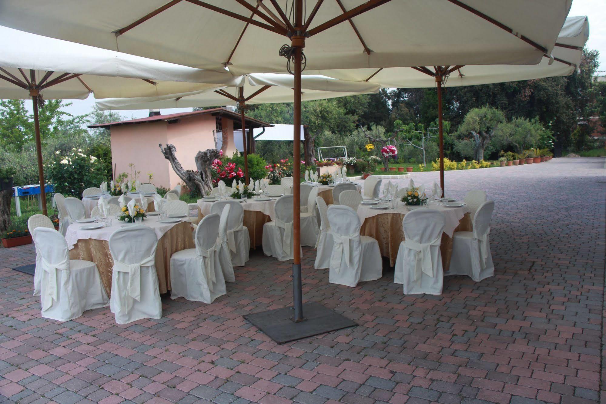 B&B La Terrazza Di Frascati Eksteriør billede